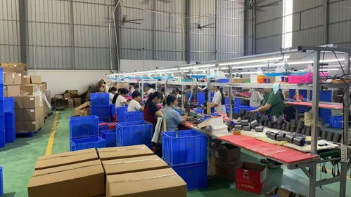 點(diǎn)贊！化州這個鎮(zhèn)“微工廠”遍地開花，留守婦女掙錢顧家兩不誤