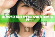 海角社區(qū)粉絲數檢視及增長策略探討