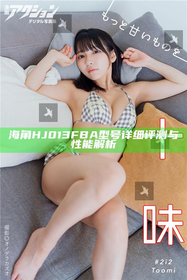 海角HJ013FBA型號詳細(xì)評測與性能解析